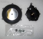 �-� ���������� ���� 